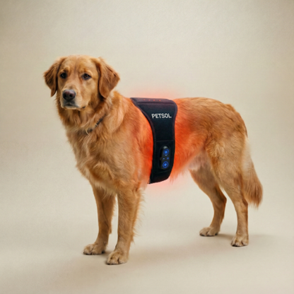Petsol® - Red Light Therapy Wrap